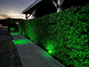 a hedge with green lights on it at night at The little Heaven in Baie Nettle