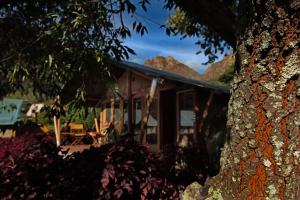 a house with a tree in front of it at Las Qolqas EcoResort Ollantaytambo in Ollantaytambo
