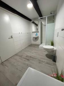 a bathroom with a toilet and a shower and a sink at Schwert Verden Ferienwohnung in Verden