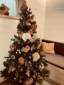 Un arbre de Noël avec des ornements sur le canapé dans l'établissement La Bel échappée, à Aubel