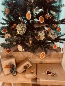 ein Weihnachtsbaum mit Weihnachtsgeschenken darunter in der Unterkunft La Bel échappée in Aubel