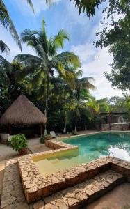 una piscina en un complejo con palmeras en Finca Oz, en Homún