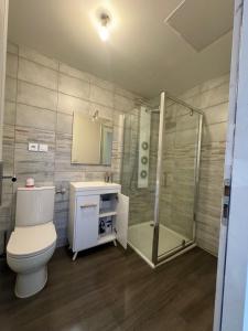 uma casa de banho com um WC e um chuveiro em Eliya em Romilly-sur-Seine