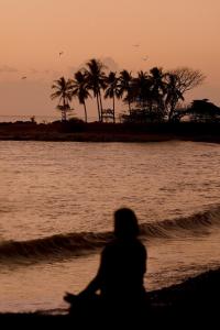 a person standing on the beach near the water at Zunya in Santa Teresa Beach