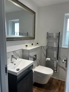 een badkamer met een wastafel, een toilet en een spiegel bij Ripon House in Dallington