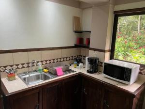 een keuken met een wastafel en een magnetron bij Asis wildlife sanctuary apartment 30 min from La Fortuna in Jabillos