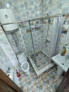 a bathroom with a shower and a toilet and a sink at 4 Seasons in Karakol
