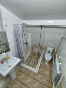 a bathroom with a shower and a toilet and a sink at 4 Seasons in Karakol