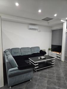 Posezení v ubytování Apartman Dimitrijevic + 14 fotografií