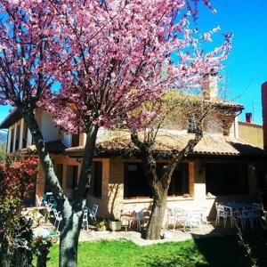 two trees with pink flowers in front of a house at Hotel rural Los Manzanos in Rascafría