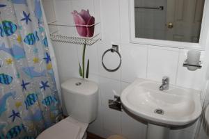 Ένα μπάνιο στο Cabañas Pucon San Sebastian +27 φωτογραφίες