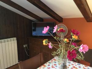 A television and/or entertainment centre at Hotel Apartamentos Barrau
