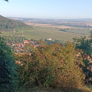 uitzicht op een stad vanaf de top van een heuvel bij Ferienhaus Waldperle Harzblick in Wernrode