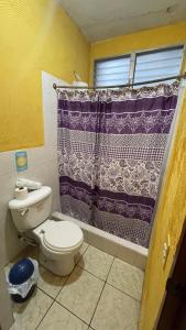 a bathroom with a toilet and a purple shower curtain at Natz Hotel in Flores