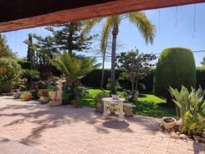 a patio with a table and a lot of plants at Villa Santos in Elche