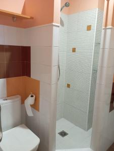 a bathroom with a glass shower with a toilet at Apartamento Duquesa in Rute