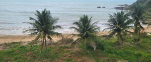 a group of palm trees on a beach at Cantinho dos sonhos in Piúma