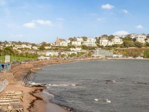 a view of a beach with swans in the water at Oversands in Torquay