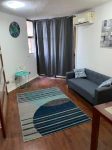 een woonkamer met een bank en een tapijt bij Alcantara'S Merced 562 in Santiago