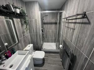 a bathroom with a shower and a toilet and a sink at Rooms near Canary wharf in London