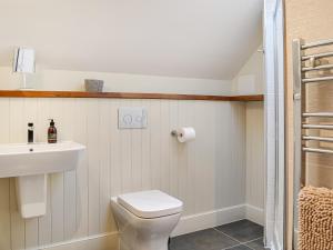 een badkamer met een wit toilet en een wastafel bij Pride Of Erin - Uk45929 in Linlithgow