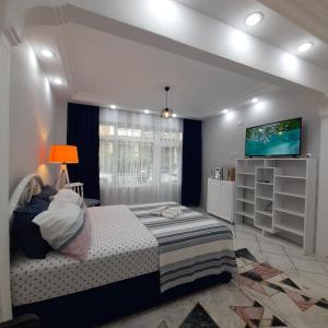 1 dormitorio con 1 cama y TV de pantalla plana en Studio Nakkaştepe İstanbul, en Estambul
