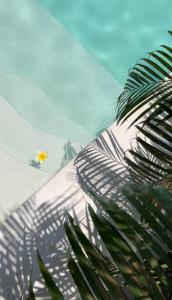 eine Palme am Strand mit einem gelben Drachen in der Unterkunft Mediterranean 2Bdr Villa near Pererenan Beach in Canggu