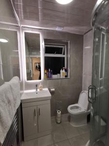 a bathroom with a toilet and a sink and a mirror at Three Bedroom Modern Apartment by Luton Airport and Luton Station in Luton