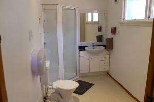 a bathroom with a toilet and a sink at Hippo Lodge Backpackers in Queenstown +22 photos