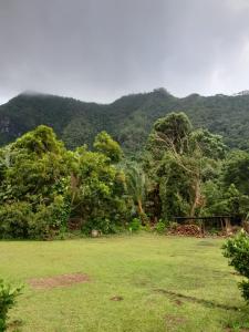 un campo con árboles frente a una montaña en Ravehei smile relais 2 moorea, en Afareaitu