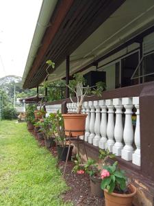 Ravehei smile relais 3 Huahine في Haapu: صف من النباتات الفخارية على جانب المنزل