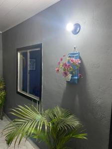 un mur avec une plante en pot et une lumière bleue dans l'établissement Solar palmer 6, à Cabo Frio