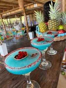 a group of wine glasses with fruit on a table at Tequila SunBeach Baru Eco-Hotel in Barú