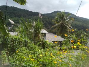 una palmera y una casa en un campo de flores en RIVERVIEW Guest en Kandy