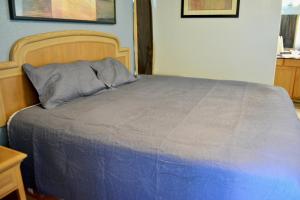 Postel nebo postele na pokoji v ubytování Texas Lodge Kenedy