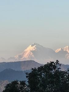 山景或在民宿看到的山景