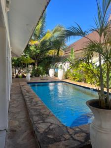 a swimming pool with a palm tree in a yard at UKAYA VILLA in Paje