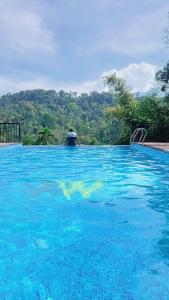 Πισίνα στο ή κοντά στο Wayanad Whistling Woods