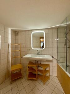 a bathroom with a sink and a mirror and a shower at Charmantes Bauernchalet Alois in Dornbirn