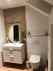 La salle de bains est pourvue d'un lavabo, de toilettes et d'un miroir. dans l'établissement Spa-Francorchamps / Jahlay Maison 6p de caractère, à Jalhay