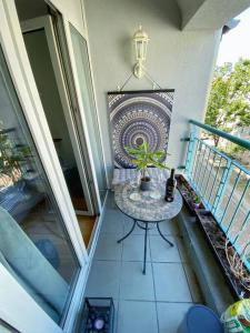 Beautiful bright apartment with balcony/10’ Mitte في برلين: شرفة مع طاولة ومصنع الفخار