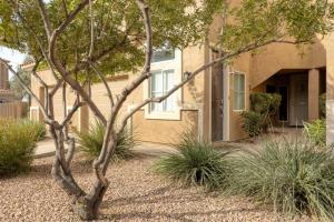 un arbre dans la cour avant d'une maison dans l'établissement Eucalyptus by AvantStay Stunning Scottsdale Home w Communal Pool Hot Tub, à Scottsdale