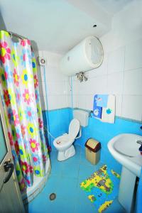 Pemaj Hostel في شكودر: حمام ازرق مع مرحاض ومغسلة