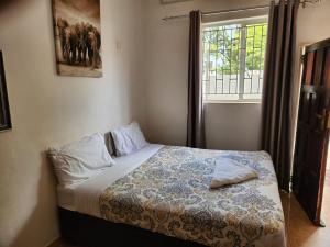 a bedroom with a bed and a window at Mukala Lodge in Lusaka