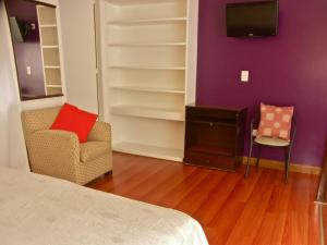 a room with a bed and a chair and a tv at Loft Argentino Apart Buenos Aires in Buenos Aires