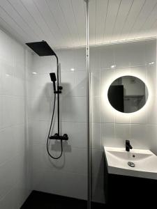 een badkamer met een douche en een wastafel bij Kotimaailma Apartments#5 - Boheemi kaksio keskustassa in Seinäjoki