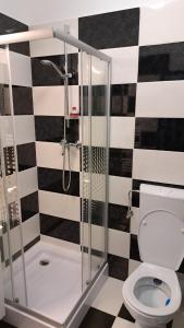 a bathroom with a shower and a toilet at Pensiunea Crenguța Fermecată in Cladova