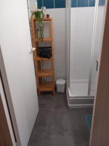 een kleine badkamer met een douche en een toilet bij Résidence Arriu Mage in Bielle