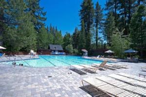 une grande piscine avec des chaises longues et des arbres dans l'établissement Mahogany by AvantStay Snowbird Cabin w Full Chamberlands Access, à Homewood