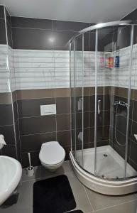 ein Bad mit einer Dusche, einem WC und einem Waschbecken in der Unterkunft Dia in Vrnjačka Banja